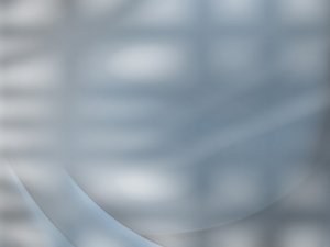 测试管理